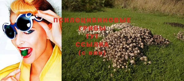 соль курить ск Киреевск