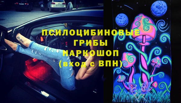 молекула духа Козельск