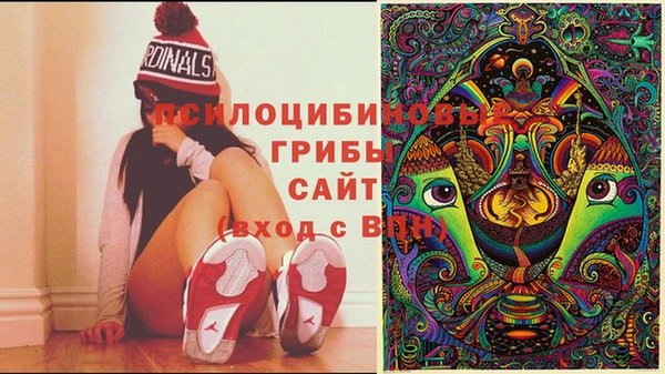 соль курить ск Киреевск